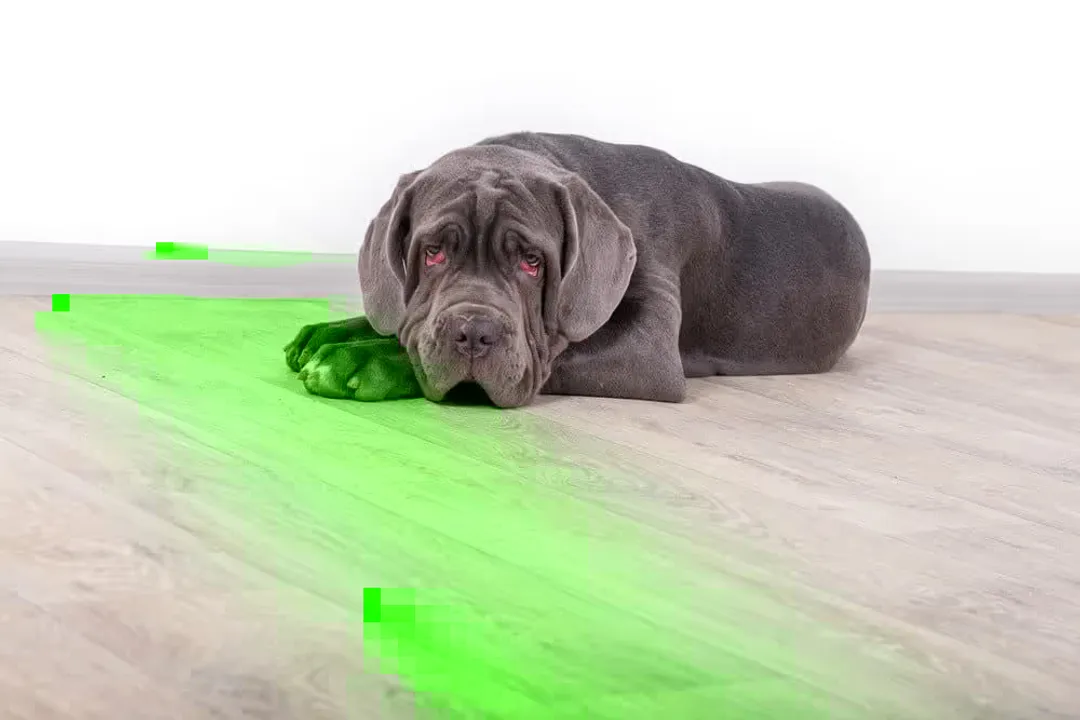 Are Neapolitan Mastiffs high maintenance?, Massive Scale