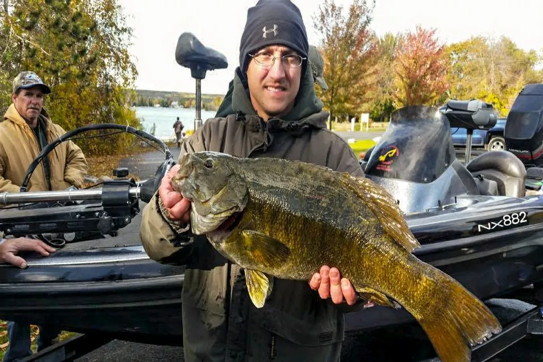 Are smallmouth bass bottom feeders?, River Positioning