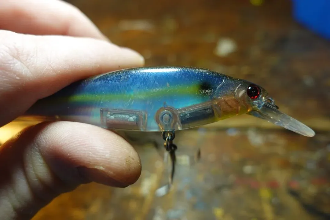 Are smallmouth bass bottom feeders?, Sculpin Importance