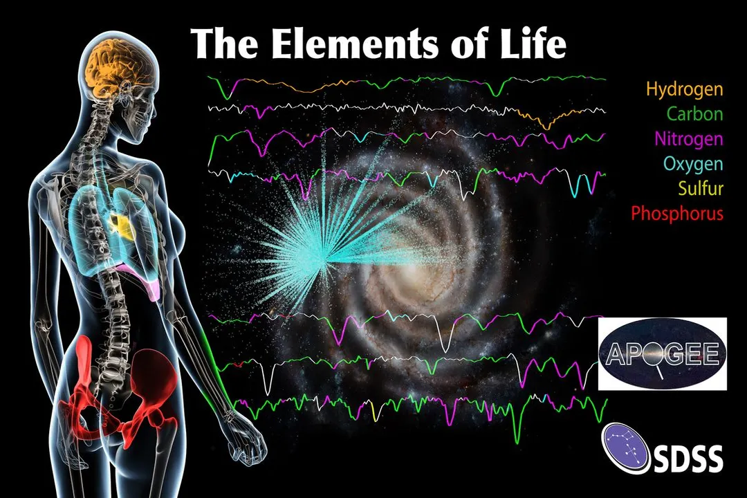 Are we actually made up of stardust?, Elemental Genesis