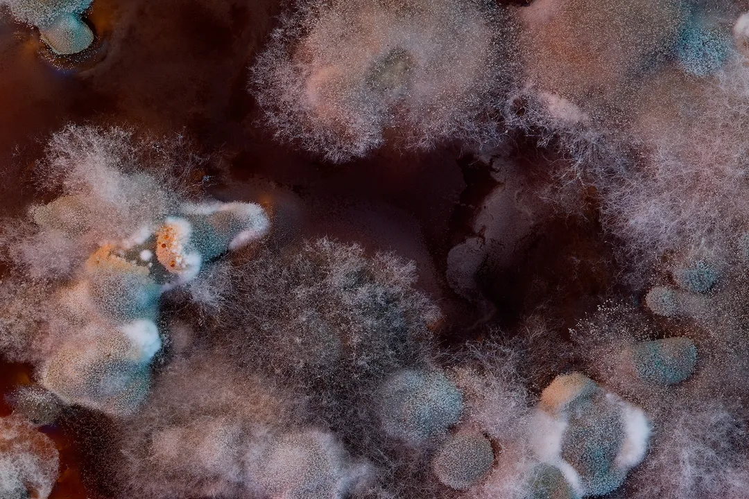 Can mold cause tingling?