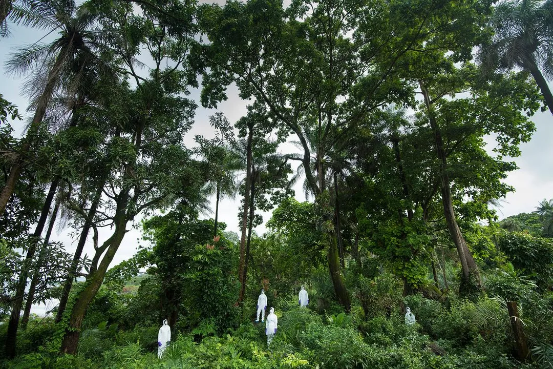 Could life exist without a planet?, Rethinking Habitats