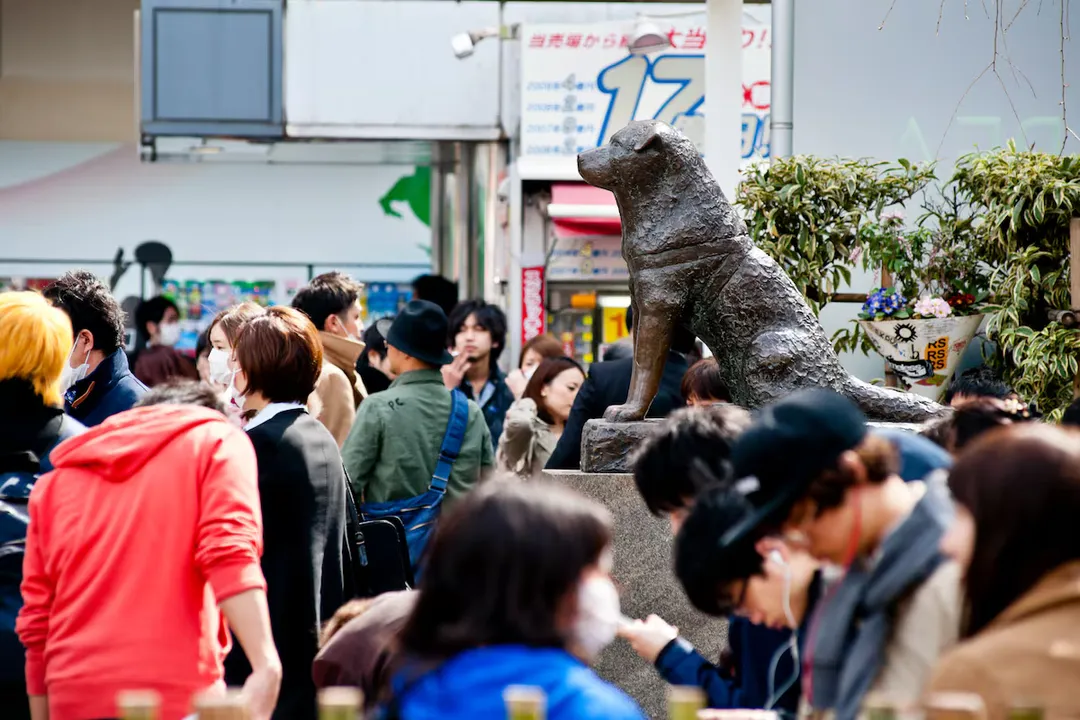 Did anyone take care of Hachiko after his owner died?, Station Support