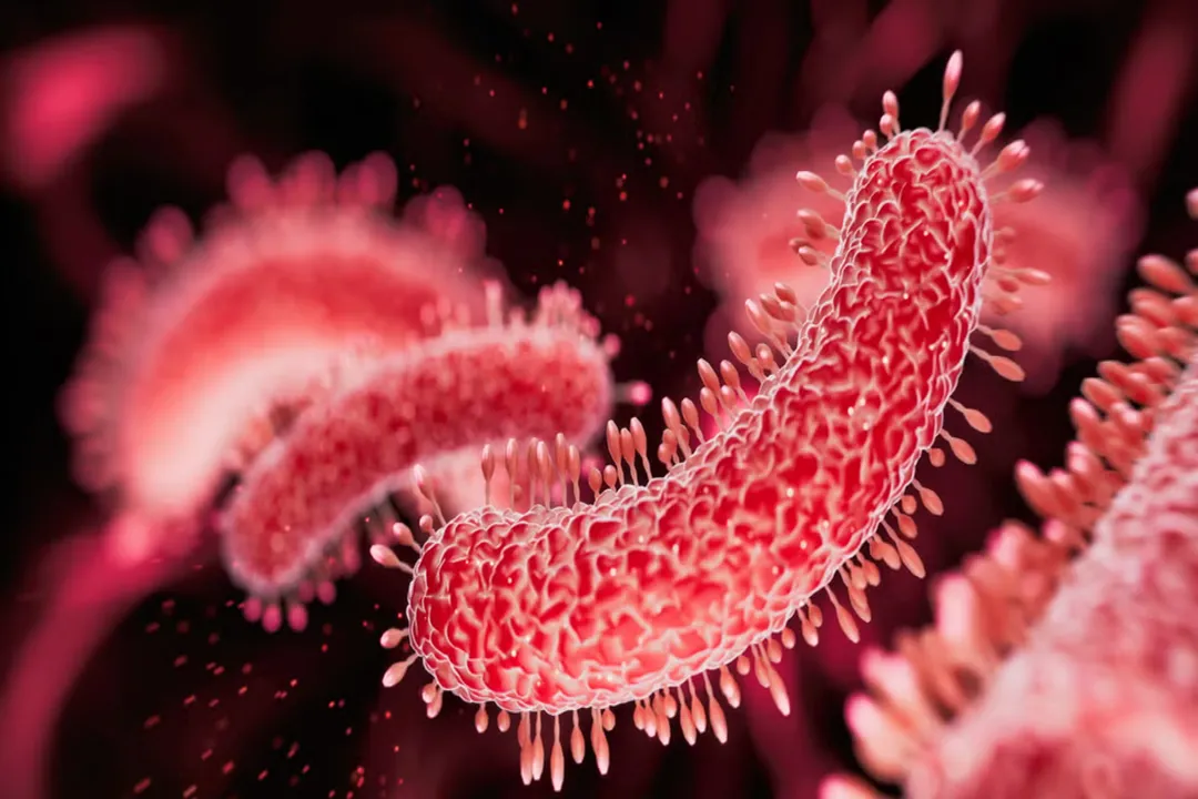 Did China find bacteria in space?, New Species