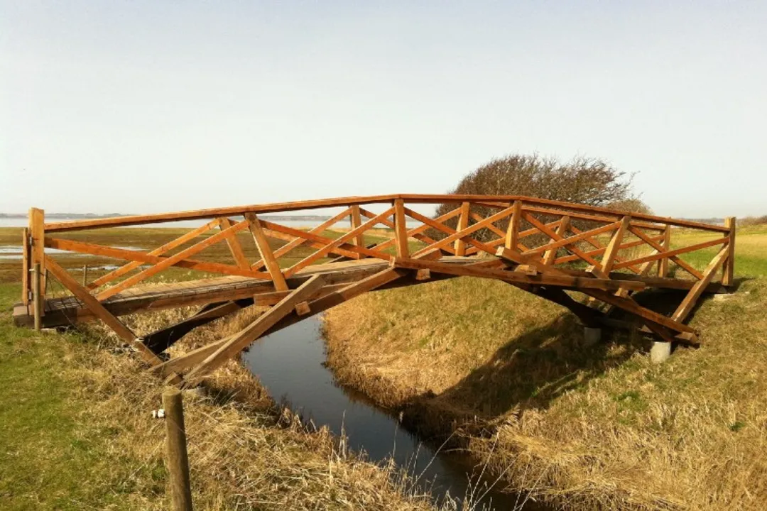 Did Leonardo da Vinci ever invent anything?, The Limits of Renaissance Power