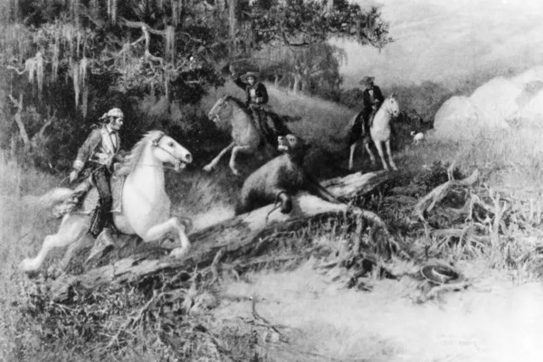 Did short-faced bears live in California?, Bear Lineage