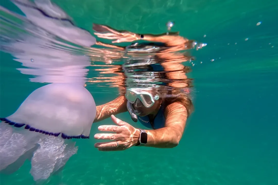 Did Yitang Zhang solve the Riemann hypothesis?, Prime Gaps Fame