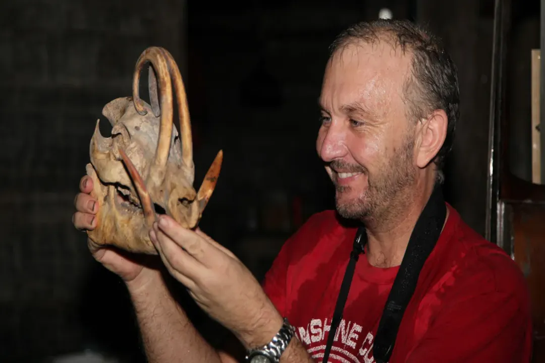 Do babirusa tusks hurt them?, Lower Canines