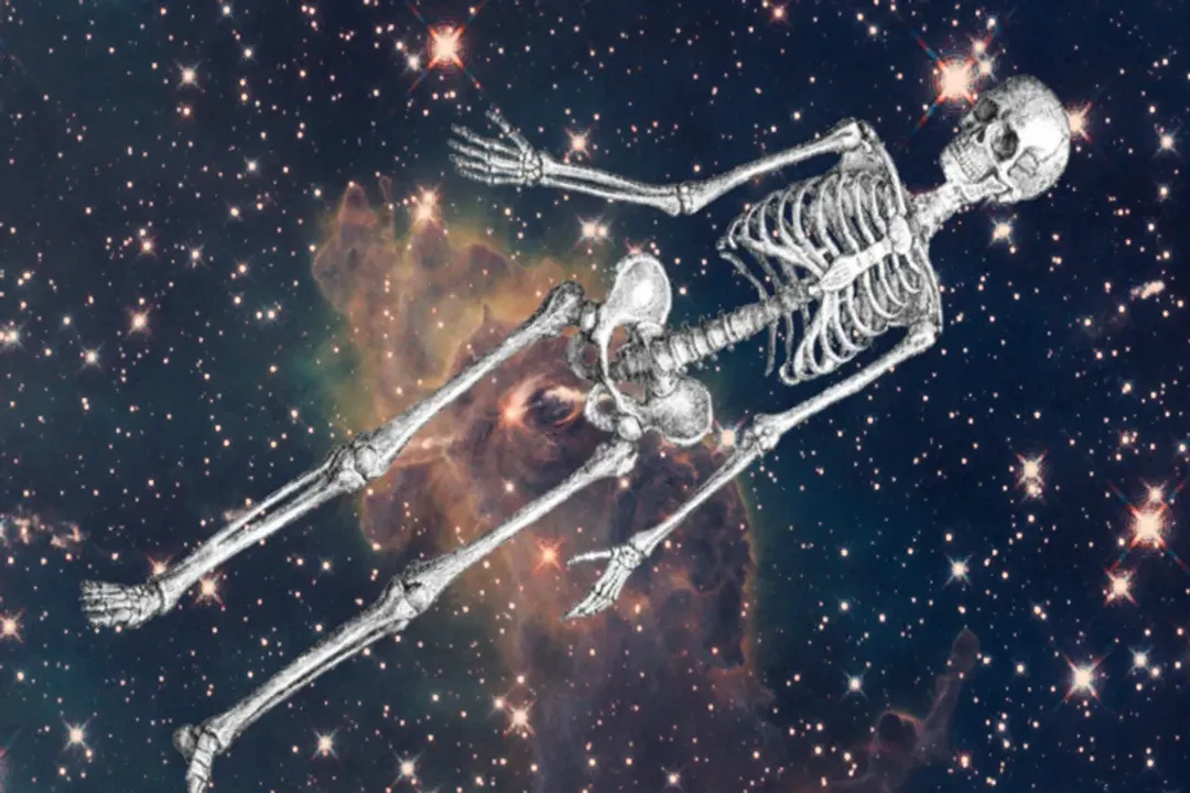 Do bodies decompose faster in space?, Microbial Halt