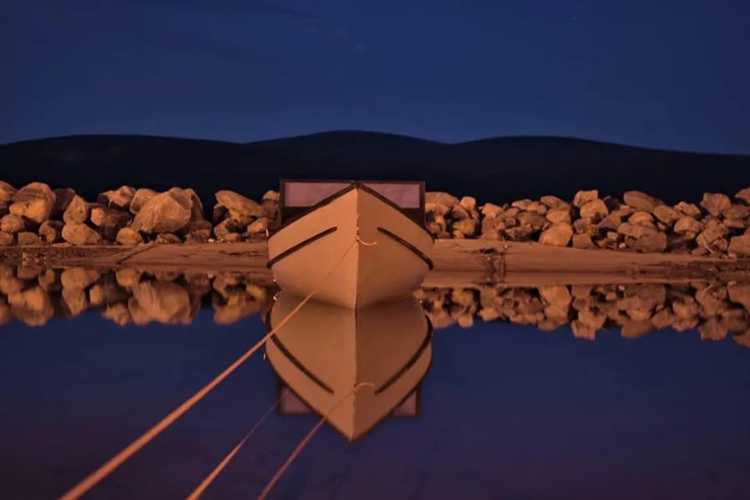 Do killer whales eat crabeater seals?, Prey Profile