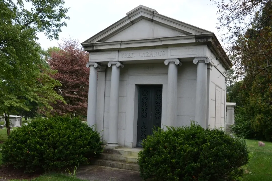 Do Lazarus lizards eat stink bugs?, The Stink Bug Query