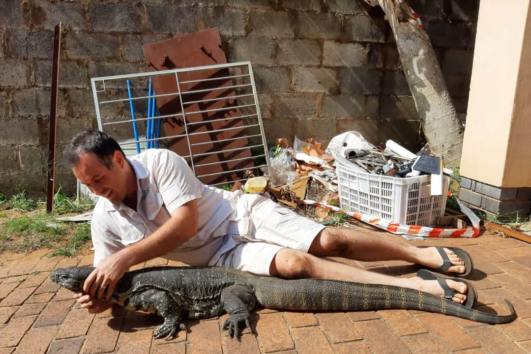 Do monitor lizards eat small dogs?, Managing Household Conflict