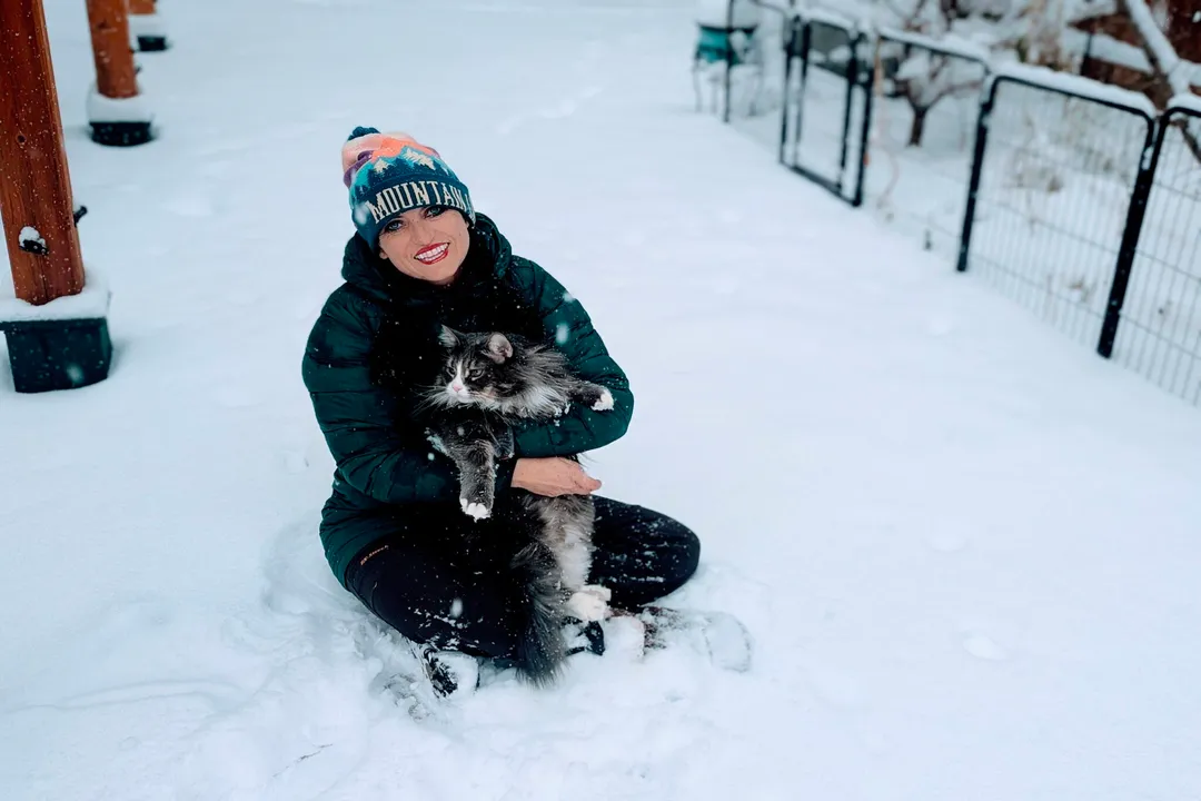 Do Norwegian Forest cats act like dogs?, The Independence Clause