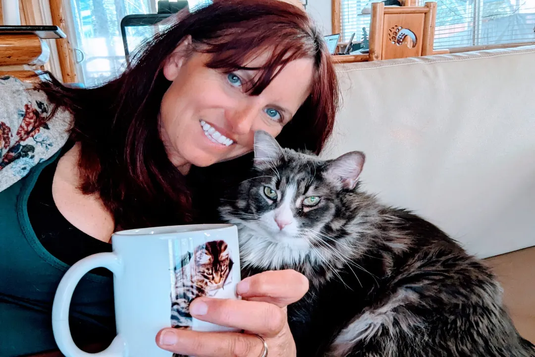 Do Norwegian Forest cats act like dogs?, Social Diplomacy