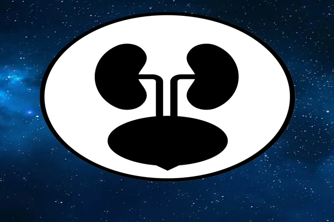 Does being in zero gravity make you pee?, Fluid Redistribution