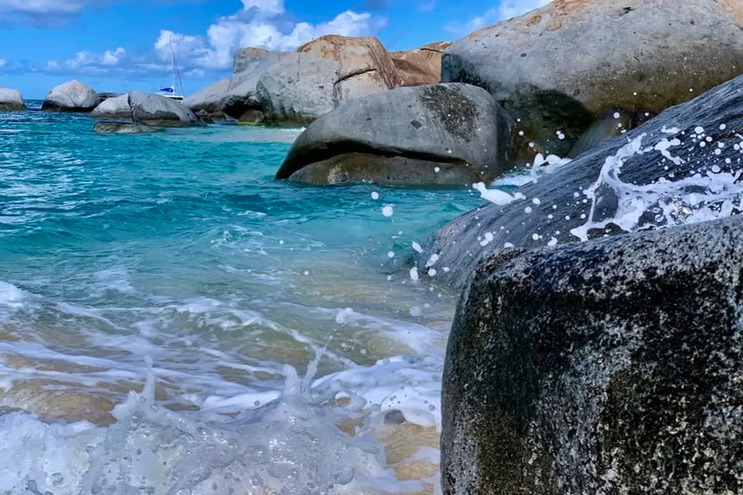 Has a Reef Shark ever attacked a human?, Attack Data