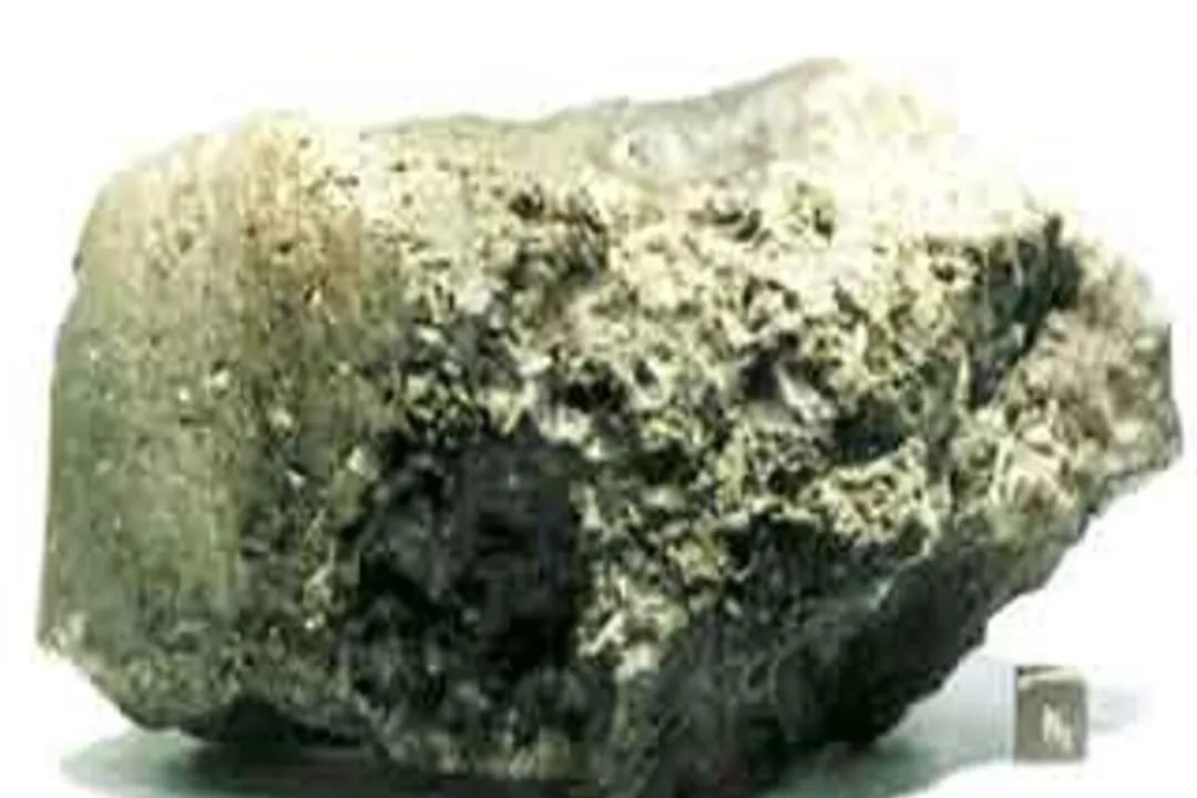 Has alien bacteria ever been found?, Space Findings