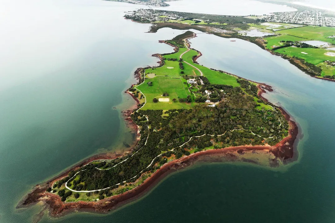 How big do Eastern Barred Bandicoots get?, Mass Variations