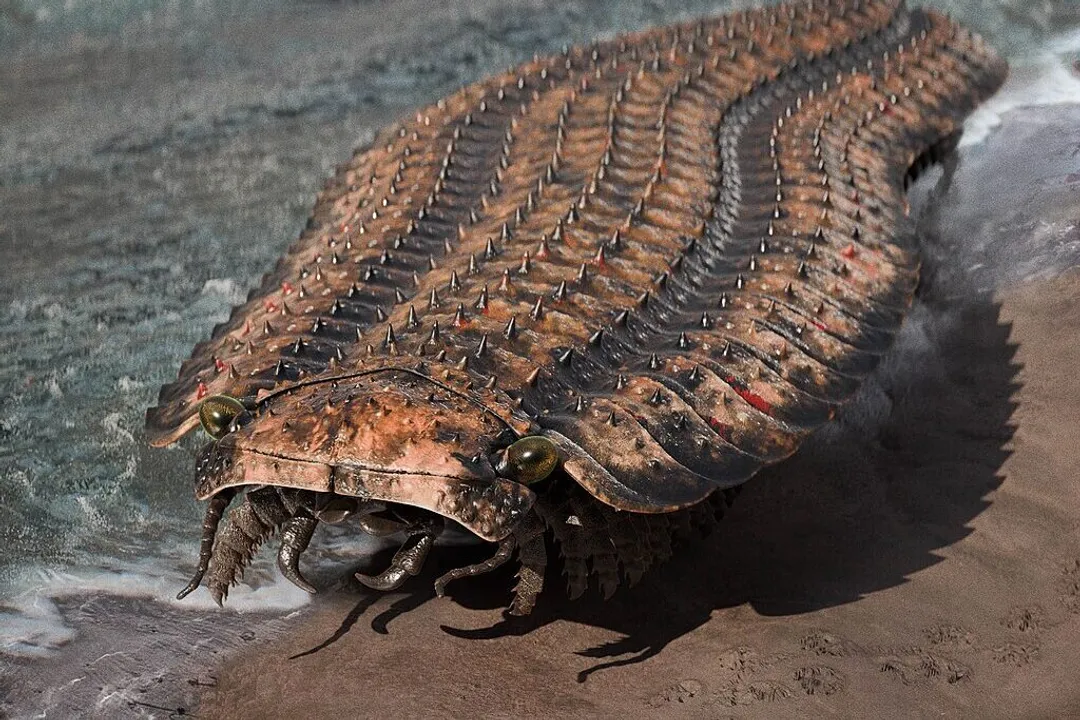 How big was the biggest bug in history?