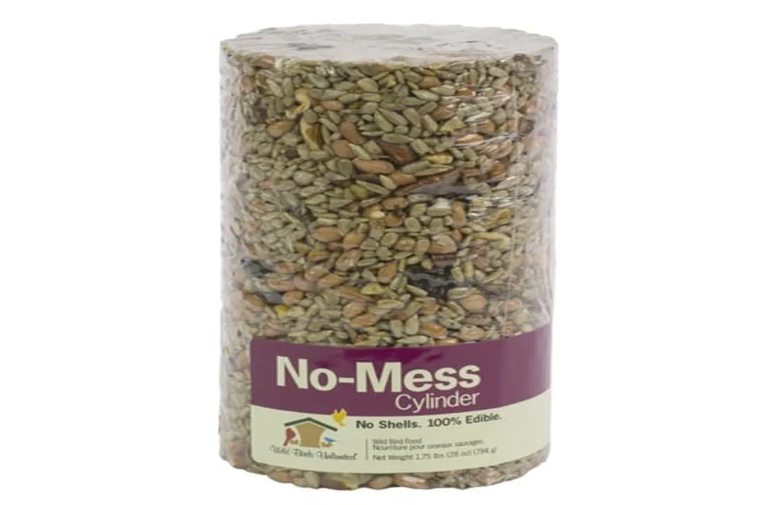 How can you attract great kiskadees?, Bird Profile