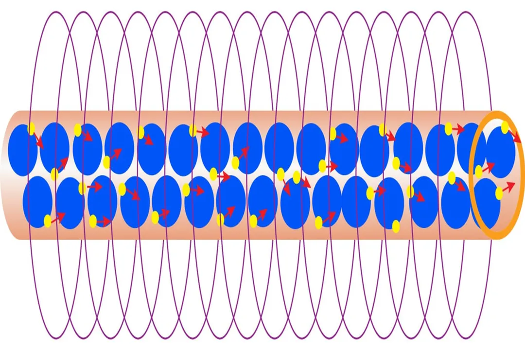 How do electric fields differ from magnetic fields?, Force Action