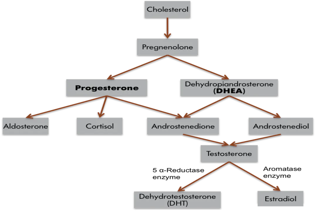What is a fundamental difference in how hormones and neurotransmitters are delivered?