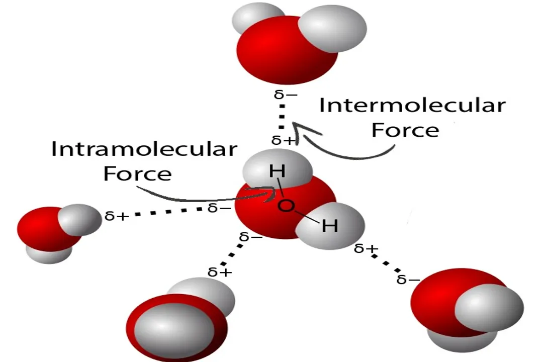 How do intermolecular forces influence boiling points?