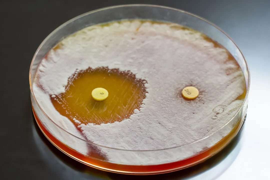 How do pathogens develop drug resistance?, Genetic Changes
