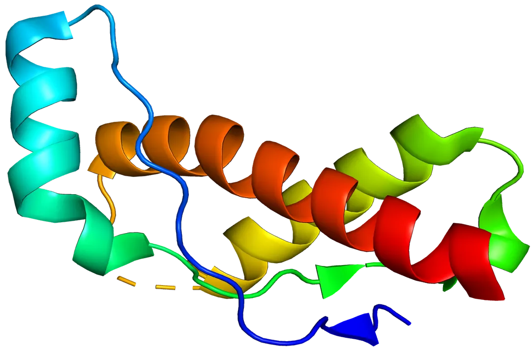 How do prions cause disease?