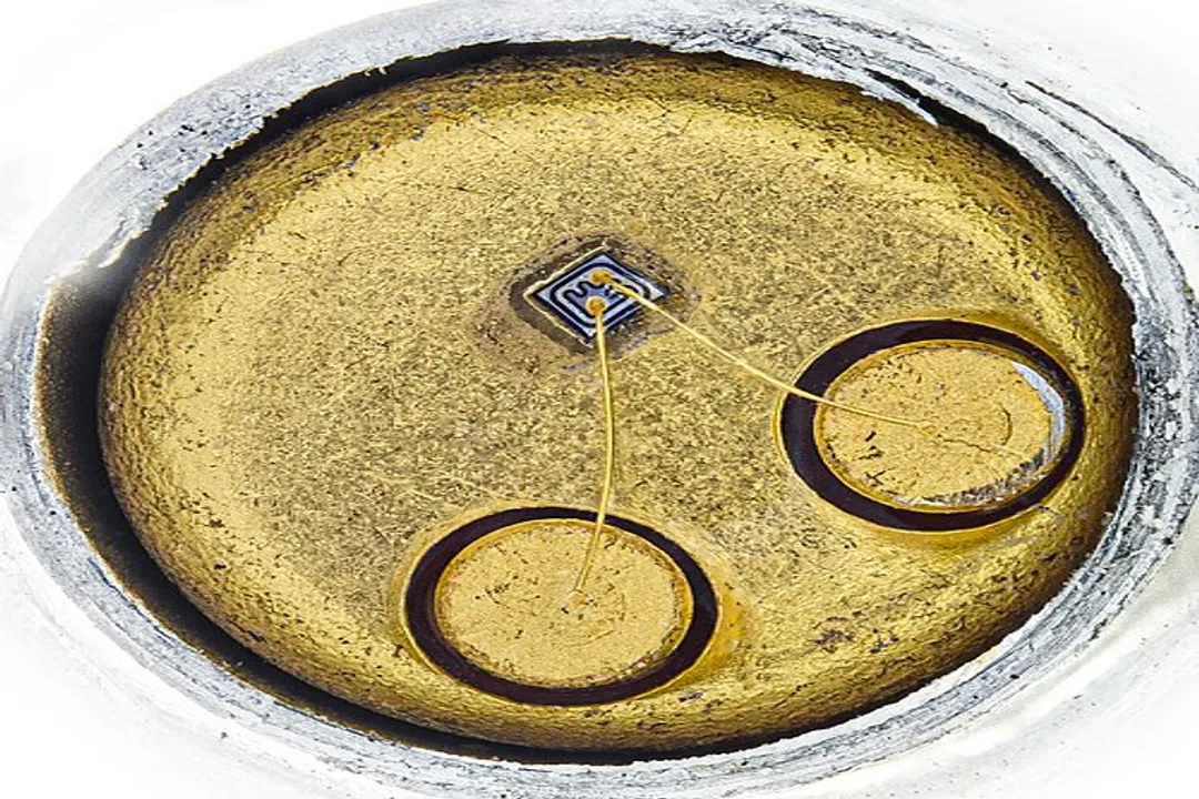 How do transistors amplify signals?, Basic Function