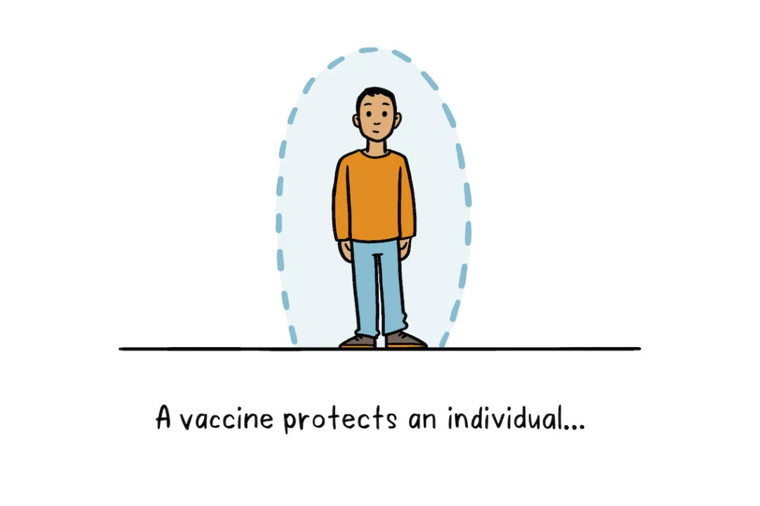How do vaccines create long-term immunity?, Cellular Memory