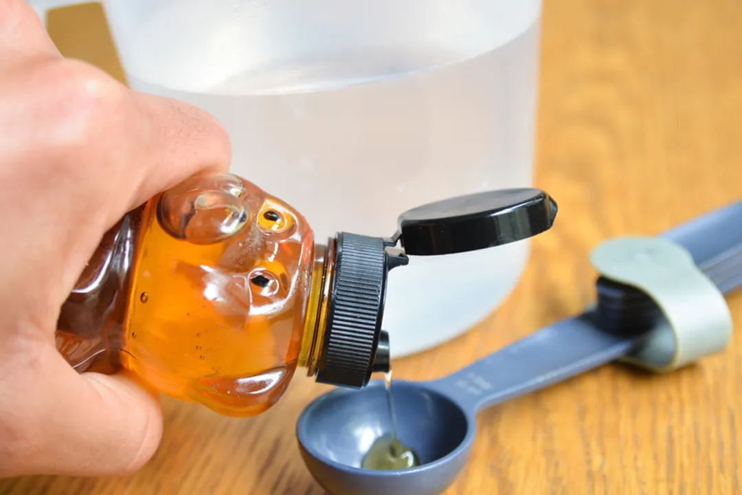 How do you make homemade lorikeet food?