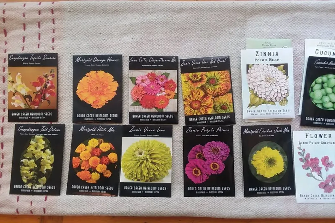 How does basil keep flies away?, Placement Strategy