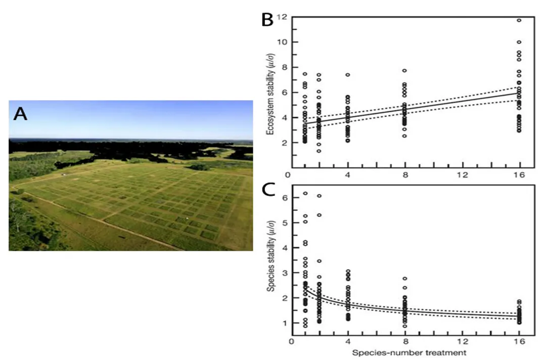How does biodiversity enhance ecosystem resilience?, Resistance Recovery