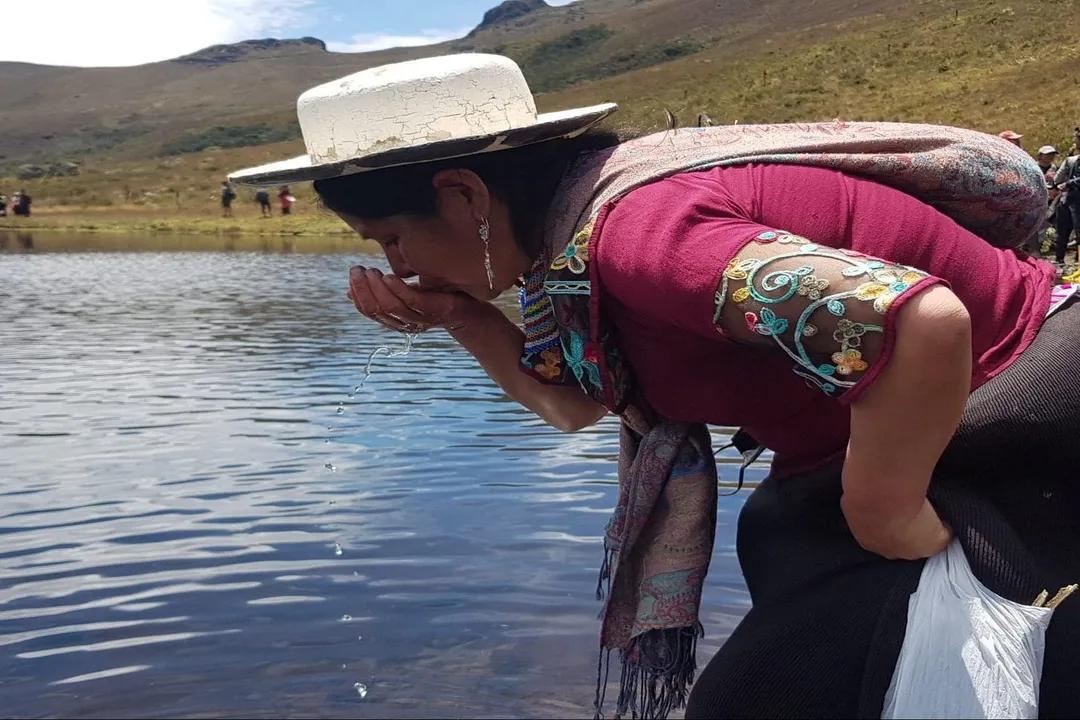 How does deforestation alter ecosystems?, Life Web Collapse