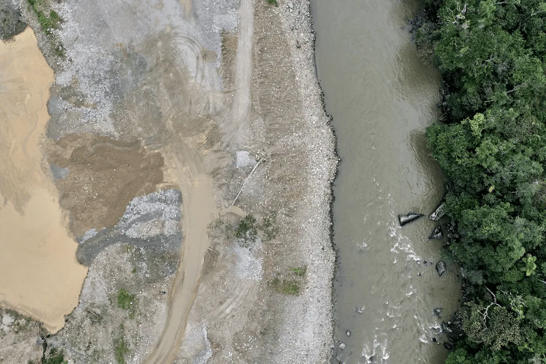 How does deforestation alter ecosystems?, Soil Degradation