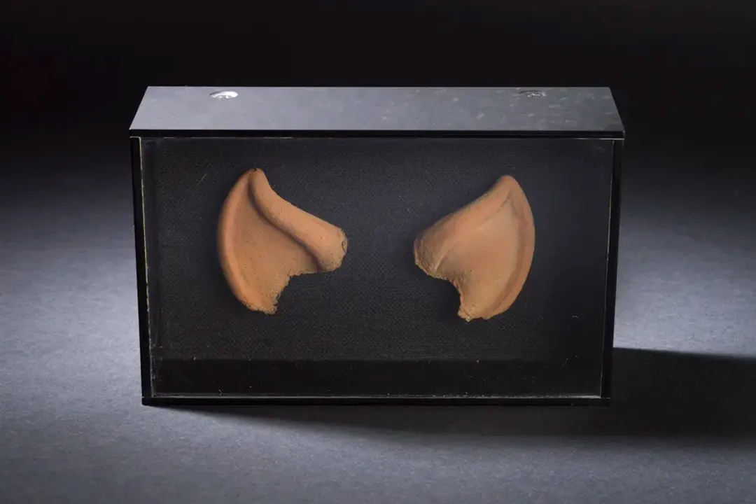 How does Earth's position in the solar system support life?, Rotation Balance