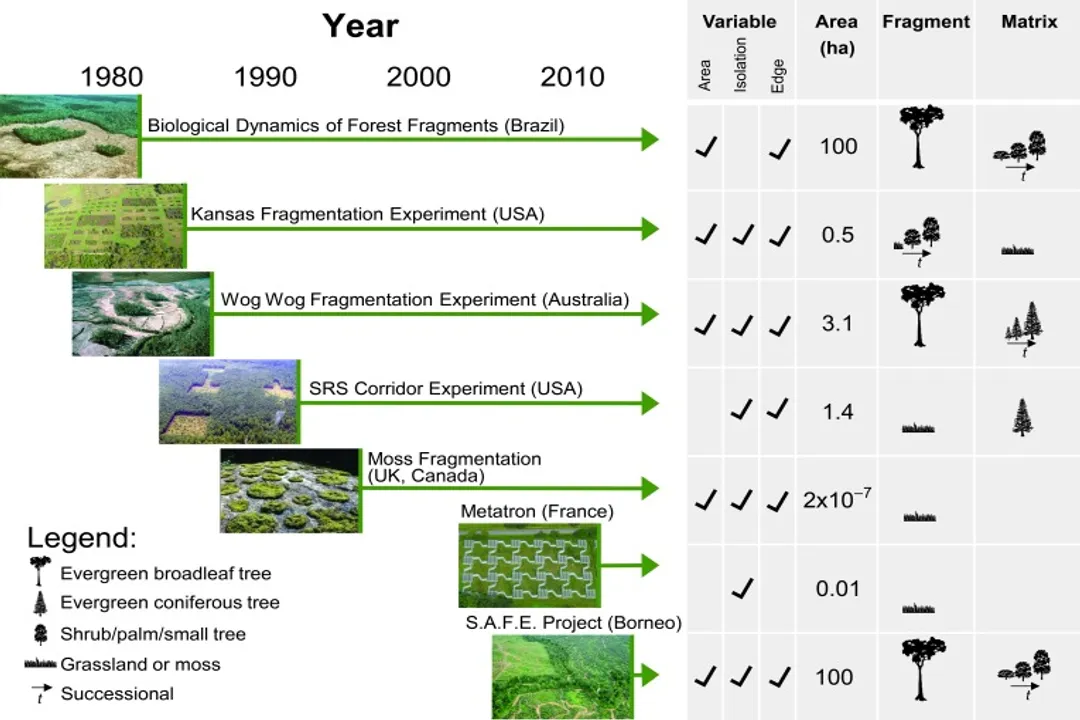 How does habitat fragmentation affect species?, Perimeter Stress