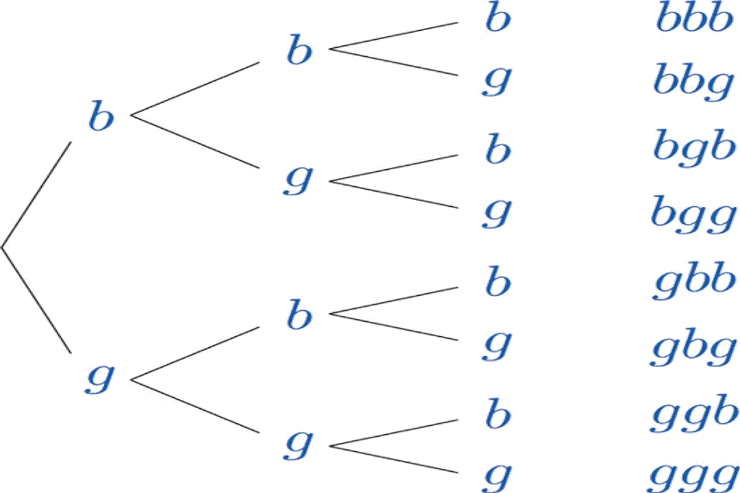 How does probability describe random events?, Event Definition