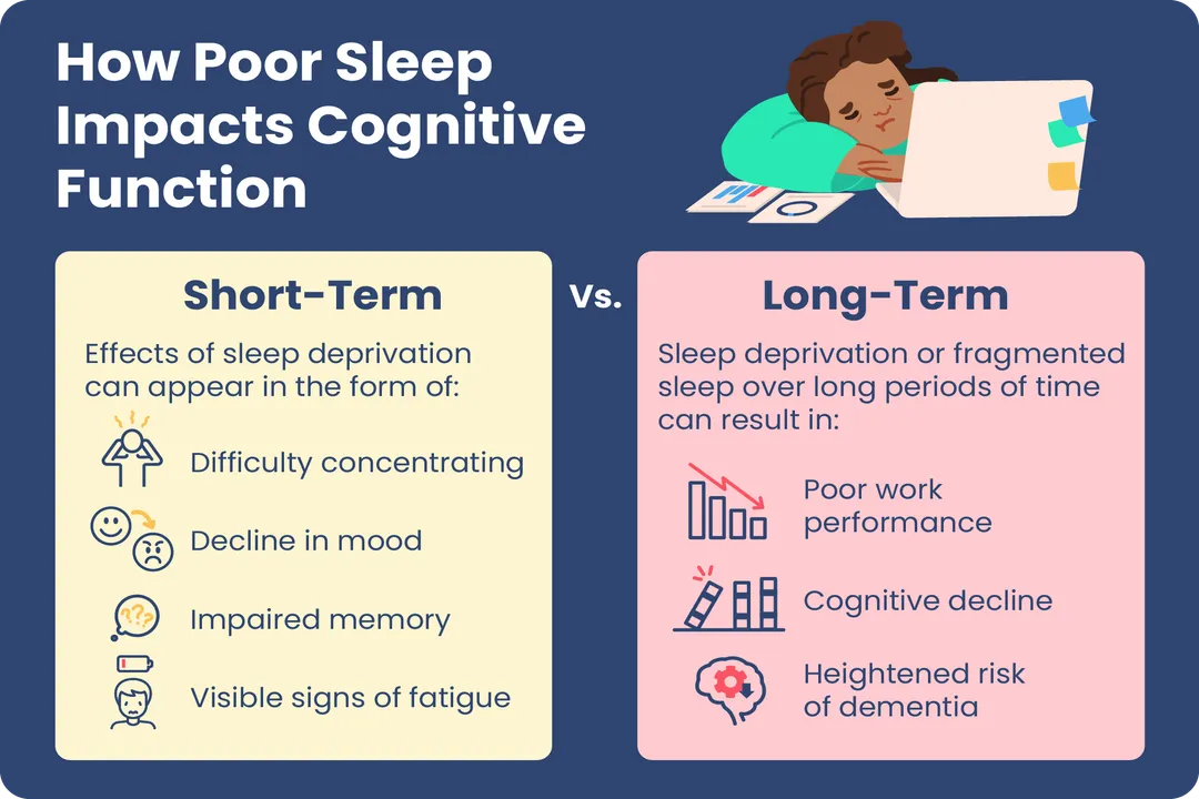 How does sleep affect cognitive function?, Memory Processing
