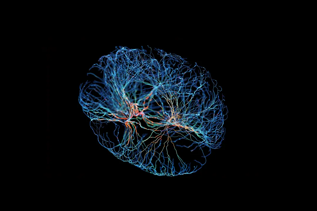 What is the initial process where the brain converts sensory experiences into a storable chemical and electrical format?