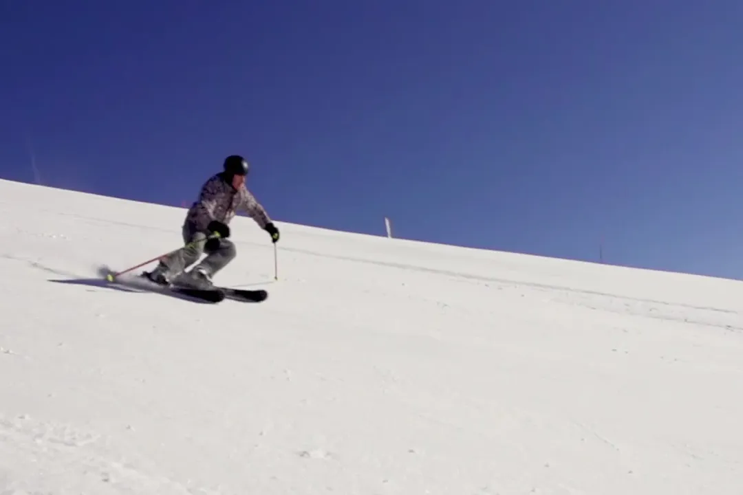 How does the nervous system maintain homeostasis?, Feedback Loops