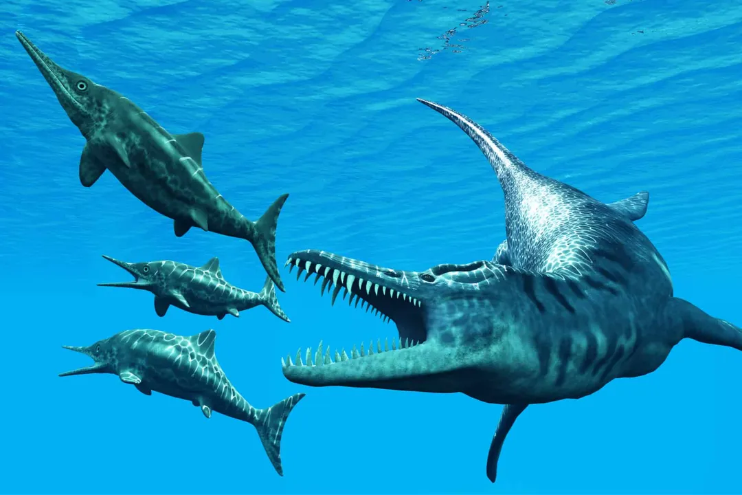How fast can a Liopleurodon swim?, Speed Metrics