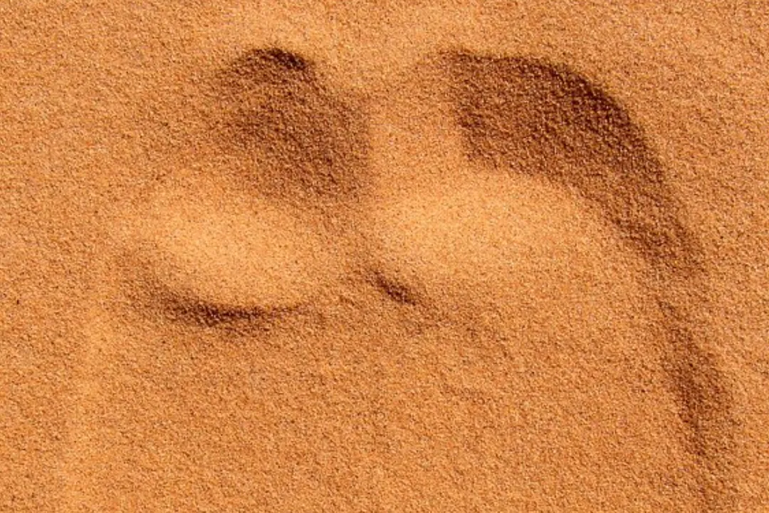 How is moondust different from Earth dust?, Compositional Differences