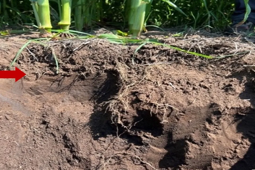 How long does it take water to go through soil?