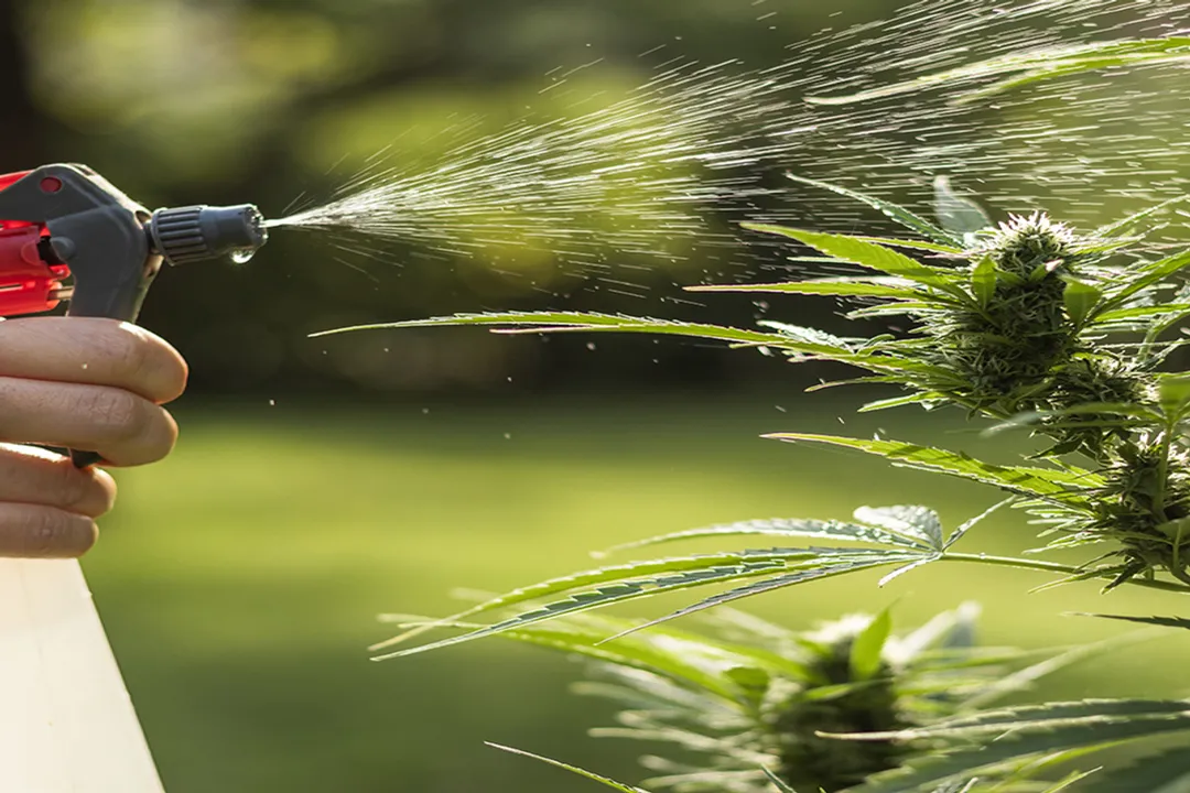 How long does poison last in soil?, Chemical Variation