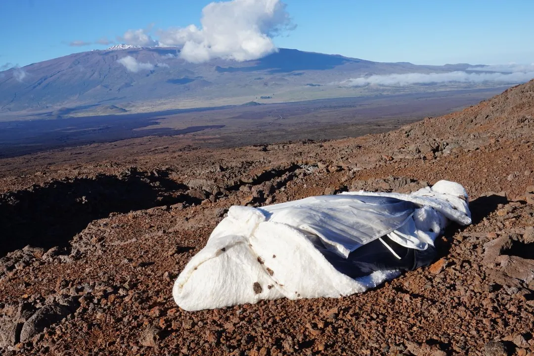 How long would it take for a body to decompose on Mars?, Rapid Drying