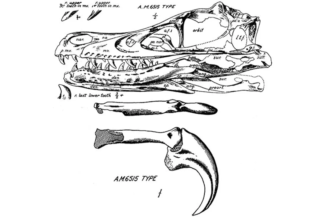How many Velociraptors are there in the world?, Fictional Counts