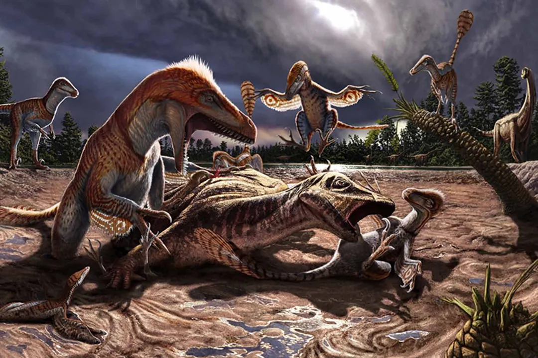 How many Velociraptors are there in the world?, Understanding the Modern View