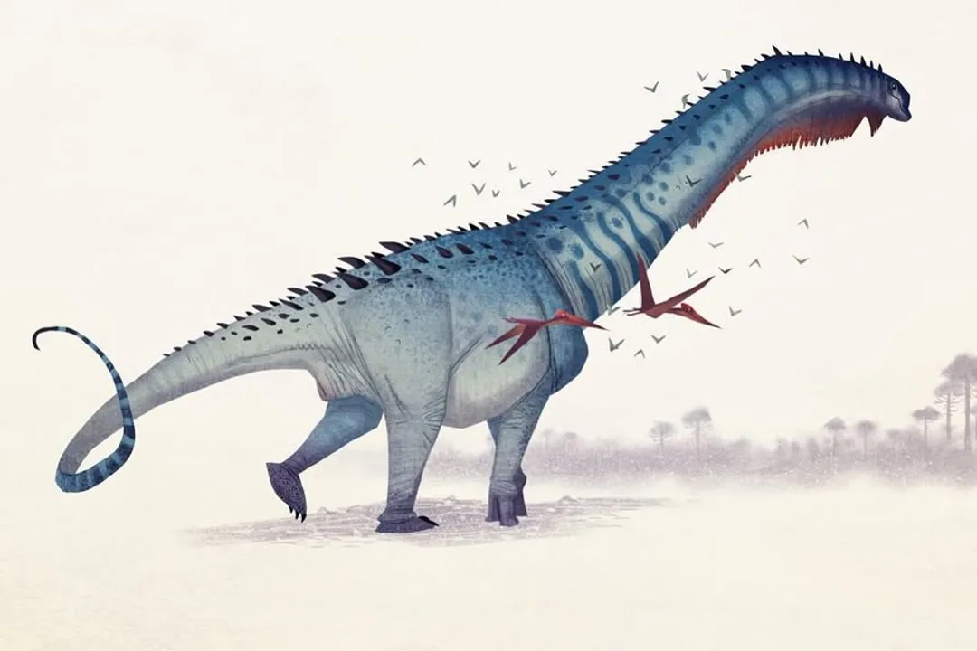 How much did a Patagotitan weigh?, Patagonia Find